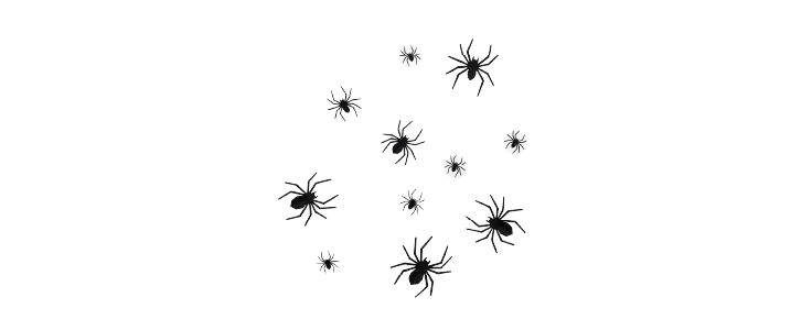 Arañas de cartulina negra pegadas en una ventana o pared, como parte de la decoración